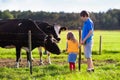 Kids feeding cow on a farm Royalty Free Stock Photo