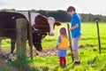 Kids feeding cow on a farm Royalty Free Stock Photo