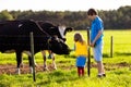 Kids feeding cow on a farm Royalty Free Stock Photo