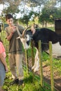 kids feeding a goat on green grass in a farmyard or on a lawn, countryside or village environment, contact zoo or