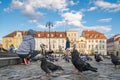 Kids feeding pidgeons in the Old Town in Bydgoszcz Royalty Free Stock Photo