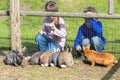 Kids feeding rabbits Royalty Free Stock Photo