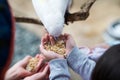 Kids feeding on a white cockatoo