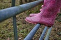 Kids feet in pink wellington boots standing on the field gate. Royalty Free Stock Photo