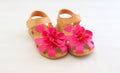 Kids Flower Shoes Royalty Free Stock Photo