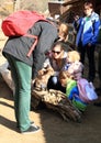 Kids stroking a goat