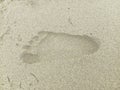 Kids foot trace on the sand beach Royalty Free Stock Photo