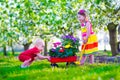 Kids in a garden with blooming cherry trees Royalty Free Stock Photo