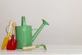 Kids gardening tools on white wooden table Royalty Free Stock Photo