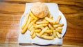 Kids Hamburger Meal With French Fries Royalty Free Stock Photo