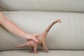 Kids hand catching a brachiosaurus toy on a sofa