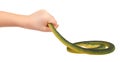 Kids hand with fake green snake, rubber animal toy