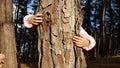 Kids hands hugging tree trunk Royalty Free Stock Photo