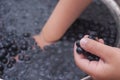 Kids hands sorting blueberries floating in water