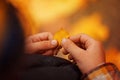 Kids hands with yellow autumn leaves Royalty Free Stock Photo