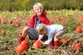 Kids having fun on pumpkin field Royalty Free Stock Photo