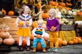 Kids having fun at pumpkin patch Royalty Free Stock Photo