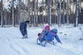 Kids having fun and riding the sledge in winter snowy forest, enjoy seasonal outdoor activities Royalty Free Stock Photo