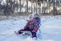 Kids having fun and riding the sledge in winter snowy forest, enjoy seasonal outdoor activities Royalty Free Stock Photo