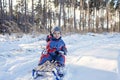 Kids having fun and riding the sledge in winter snowy forest, enjoy seasonal outdoor activities Royalty Free Stock Photo