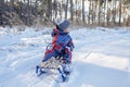 Kids having fun and riding the sledge in winter snowy forest, enjoy seasonal outdoor activities Royalty Free Stock Photo