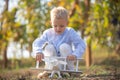 Kids having fun with toy airplane in field against nature background. Adventure and vacations children concept. Summer Royalty Free Stock Photo