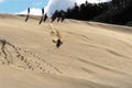 Africa- Kids Having Great Fun Sliding Down a Huge Sand Dune