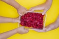 Kids holding raspberries in container, top view Royalty Free Stock Photo