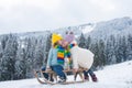 Kids kiss lovely. Happy little boy and girl sledding in winter and kissing. Children sledding, riding a sledge. Outdoor Royalty Free Stock Photo