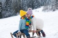 Kids kiss lovely. Happy little boy and girl sledding in winter. Kids love riding on snow slides in winter. Children boy Royalty Free Stock Photo