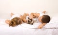 Kids laying in bed playing with a cat Royalty Free Stock Photo