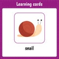 Kids learning cards. Snail