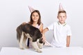 Kids like their dog, they congratulating it with birthday