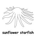 Kids line illustration coloring sunflower starfish. animal outline