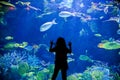 Kids look up on underwater aquarium Royalty Free Stock Photo