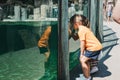 Kids looking inside aquarium in Prague Zoo, Czech Republic