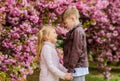 Kids in love pink cherry blossom. Love is in the air. Couple adorable lovely kids walk sakura garden. Tender love