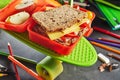 Kids lunch box with healthy cheese sandwich
