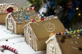 Kids made gingerbread houses in christmas season