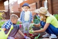 Kids with mother planting strawberry seedling into soil outside in garden