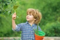 Kids and nature. Work in the home garden. The boy holds a digging paddle. Plant in the pot. Child and harvest.