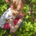 Kids pick fresh fruit on organic strawberry farm. Agriculture,