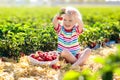 Kids pick strawberry on berry field in summer