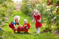 Kids picking apples in fruit garden Royalty Free Stock Photo