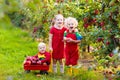 Kids picking apples in fruit garden Royalty Free Stock Photo