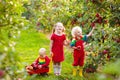 Kids picking apples in fruit garden Royalty Free Stock Photo