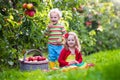 Kids picking fresh apples from tree in a fruit orchard Royalty Free Stock Photo