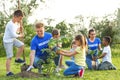 Kids planting trees with volunteers Royalty Free Stock Photo