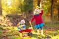 Kids play in autumn park. Children outdoor in fall Royalty Free Stock Photo