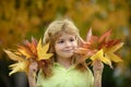 Kids play in autumn park. Children portrait with yellow leaves. Child boy with oak and maple leaf outdoor. Fall foliage Royalty Free Stock Photo